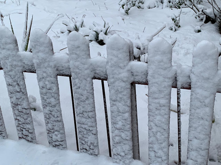 Ground level snow at Matroosberg in Ceres, Western Cape.