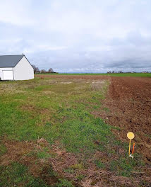 terrain à Arvillers (80)