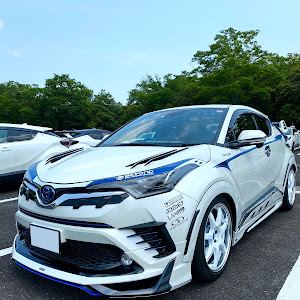 C-HR ZYX10