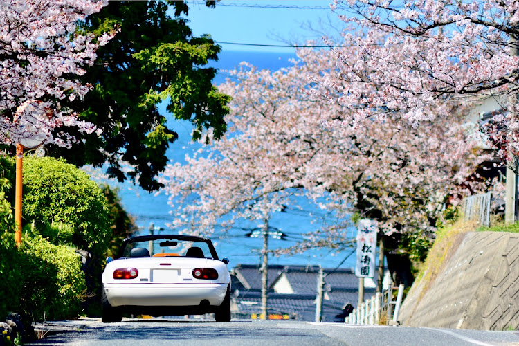 ロードスターの桜・青空・青い海に関するカスタム事例の投稿画像1枚目
