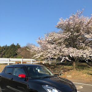 スイフトスポーツ ZC33S