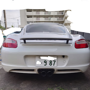 ケイマン S