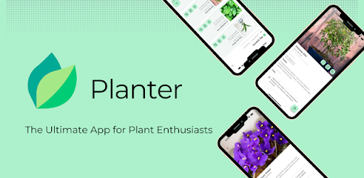 Planter: Plant Notes and Care