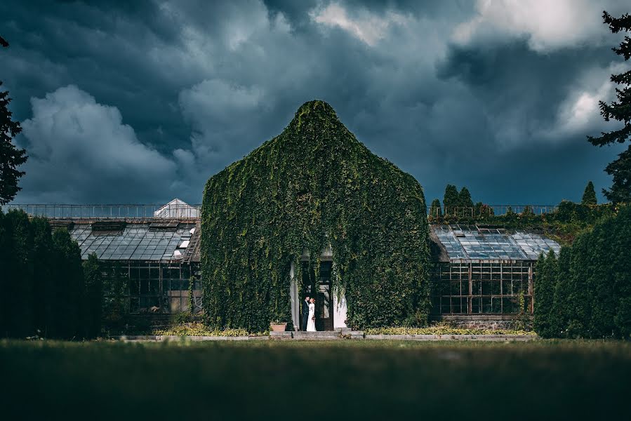 Wedding photographer Vlad Sakulin (vladislavsakulin). Photo of 15 November 2016