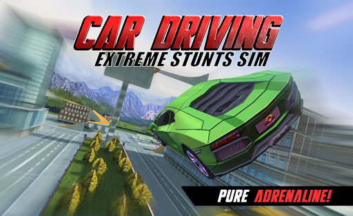 Car driving extreme stunts sim