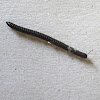 White-legged snake millipede