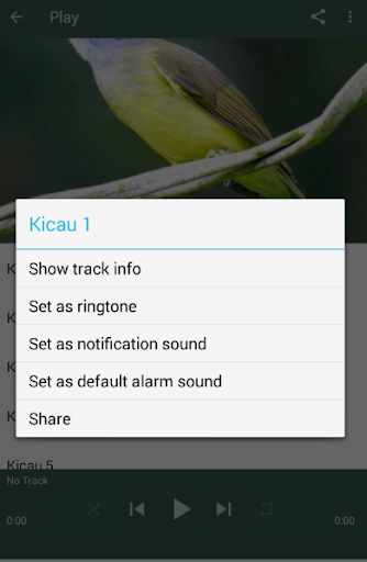 Masteran Cucak Jenggot