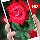 Download 3D Parallax Red Rose Live Wallpaper 2019 For PC Windows and Mac