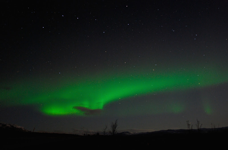 Aurora Boreale di Alessandra Alba