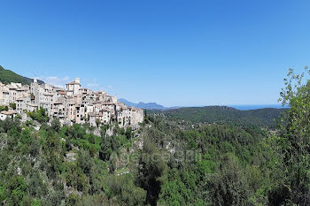 locaux professionnels à Tourrettes-sur-Loup (06)