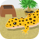 Download My Gecko For PC Windows and Mac 1.0.1