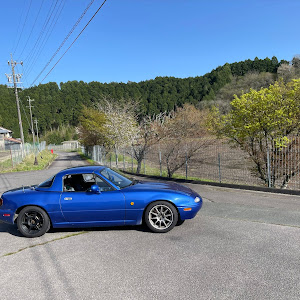 ロードスター NA8C