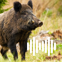 Hog, Pig & Boar Hunting Calls