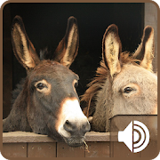 Donkey Sounds 1.1 Icon