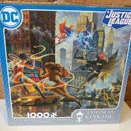 The Women of DC (1000pc)