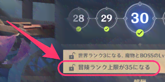 冒険ランクの上限が解放される