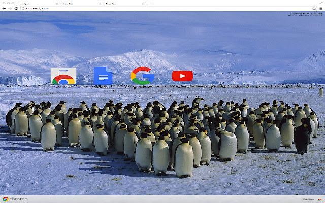 Penguins Theme chrome extension