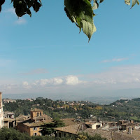 Le ultime foglie verdi di Ottobre di 