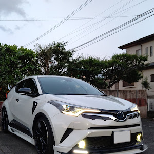 C-HR ZYX10