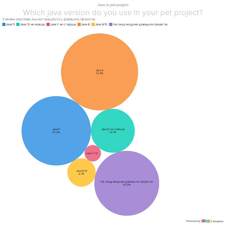 java in pet projects