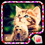 Cover Image of ダウンロード Cute Kittens Live Wallpaper 6.6.0 APK