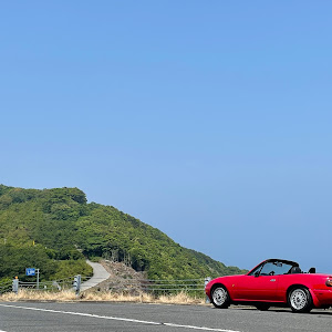 ロードスター NA6CE