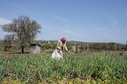 Jozini resident Hluphekile Mabuyakhulu grows fruit and vegetables, some of which she sells.