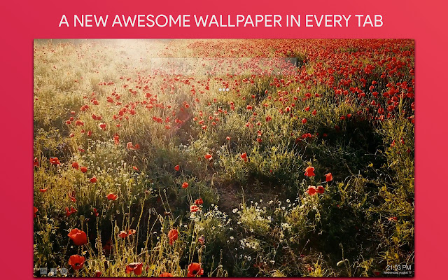 Flower Live Wallpaper HD Custom New Tab