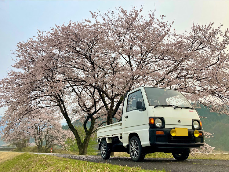 サンバートラックのユーザー車検・はらぺこキャットに関するカスタム事例の投稿画像20枚目