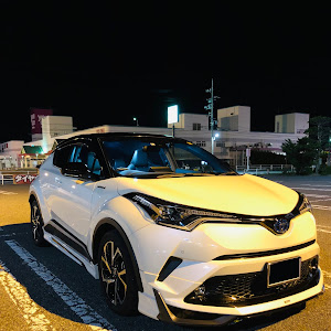 C-HR ZYX10