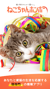 猫のニュースや飼い方の情報をまとめ読み -ねこちゃんホンポ-(圖6)-速報App