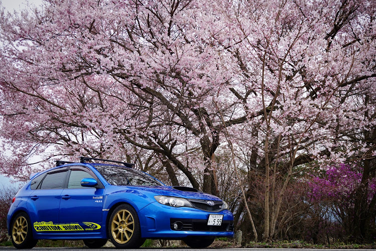 インプレッサ WRX STIの桜と愛車・WRブルー・近所のサクラ🌸・ドライブ自粛に関するカスタム事例の投稿画像1枚目