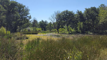 propriété à Brinon-sur-Sauldre (18)