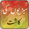 Sabzion Ki Kasht – Urdu Guide icon