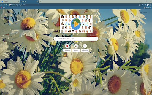 Spring Time Daisies New Tab