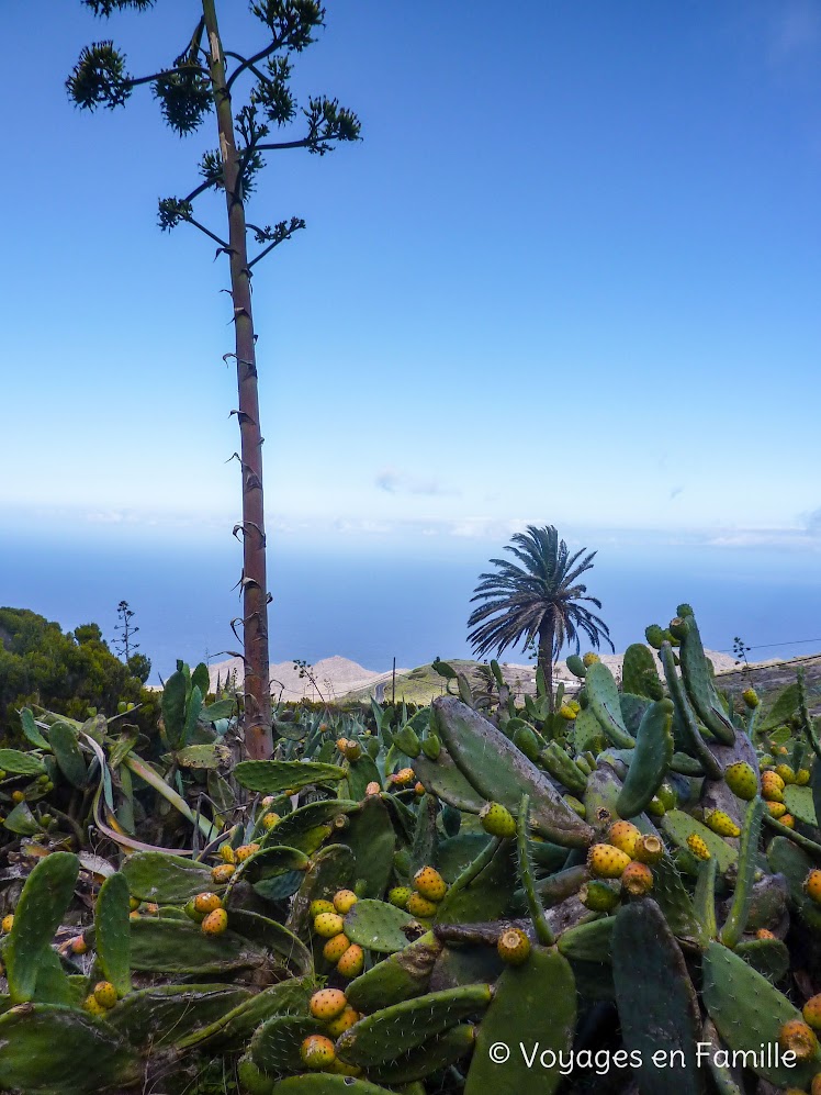 Descente sur Alojera