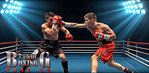 Real Punch Boxing Games 3d