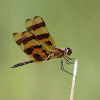 Halloween Pennant