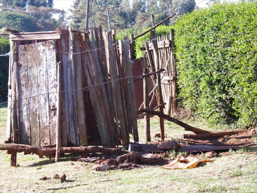 A file photo of a pit latrine. /JOSEPH GICHEHA