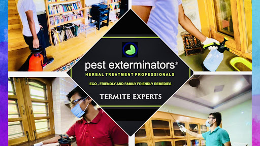 Pest exterminators dehradun- termite experts & pest control service — business photo 1