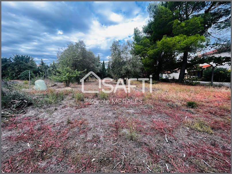 Vente terrain  812 m² à Ortaffa (66560), 210 000 €