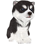 Cover Image of Herunterladen Youndoo [Cute puppy] 1.76 APK