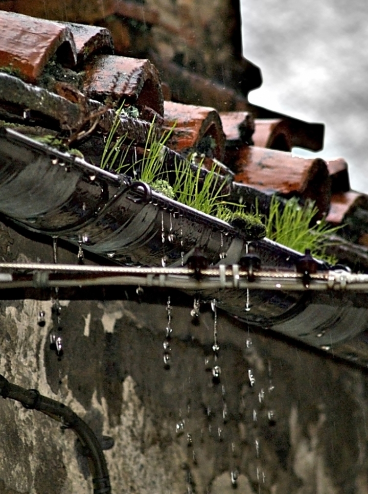 Piove... di Marchingegno