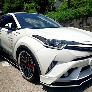 C-HR ZYX10