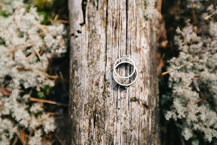 Fotografo di matrimoni Vitaliy Palkin (palkin). Foto del 16 agosto 2015