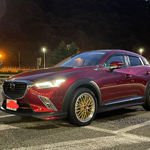 CX-3 DKEFW