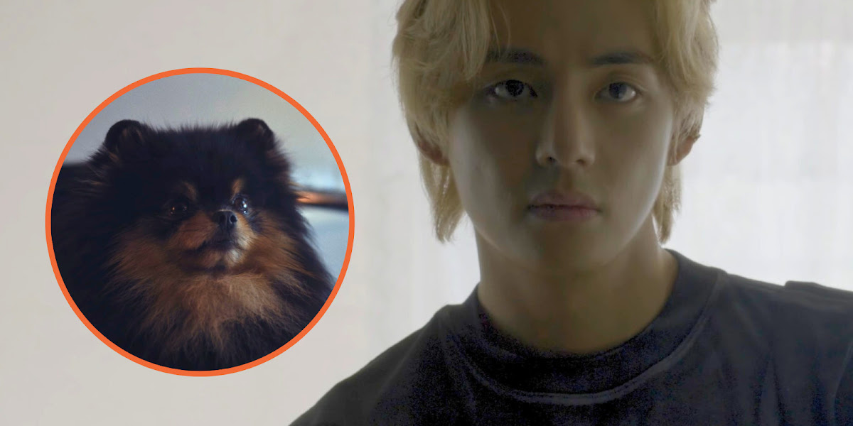 V's Rainy Days Music Video Features His Adorable Dog Yeontan