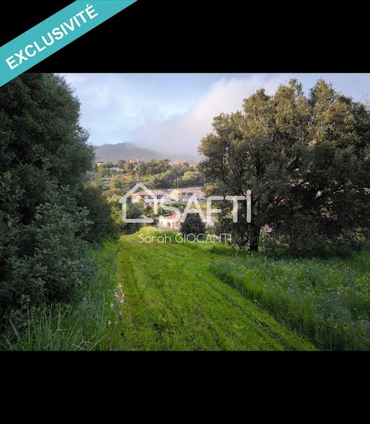 Vente terrain  1000 m² à Appietto (20167), 255 000 €