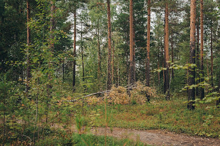 Bryllupsfotograf Mikhail Batenev (mikebatenev). Bilde av 24 september 2018