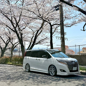エスクァイア ZRR80G